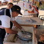 Intendencia Municipal de Caraparí controla la venta de pescados en los mercados